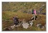 27/IMG_1383 site.jpg